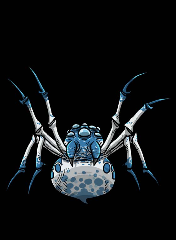 Faerie Spider