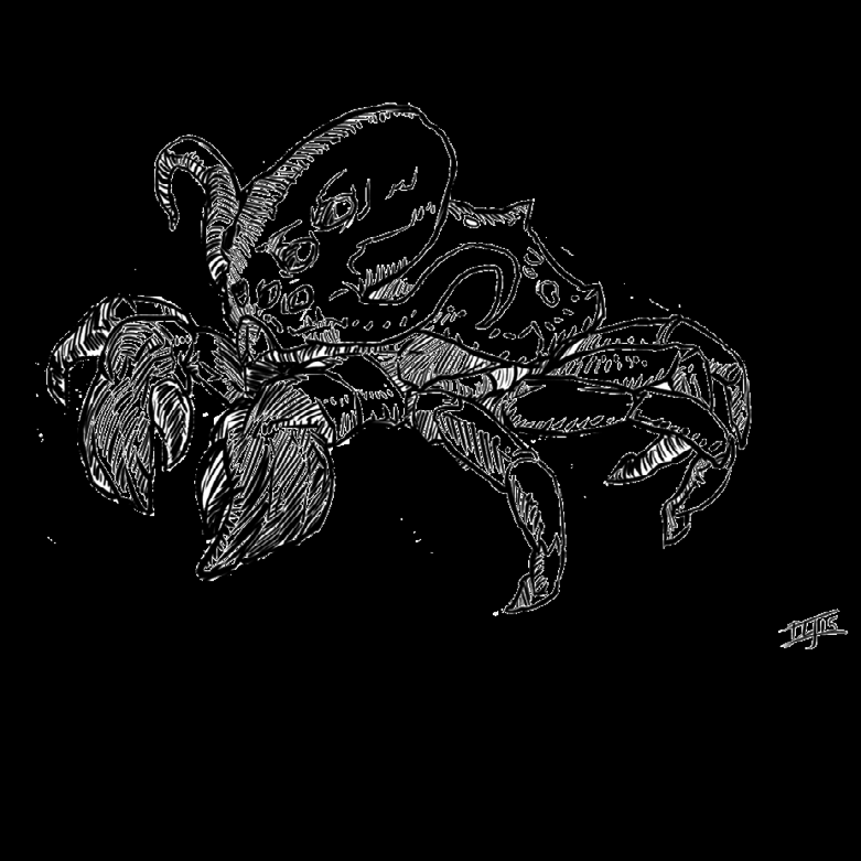 Cherax