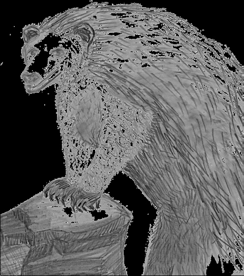 Bearcupine
