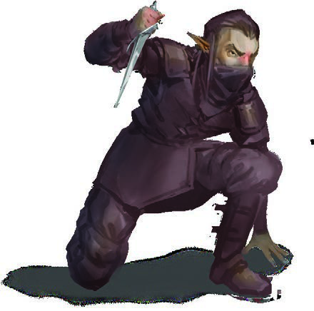 APPRENTICE ASSASSIN